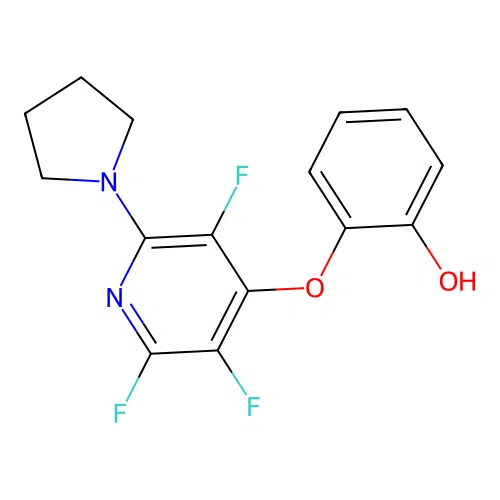 2-(2,3,5-Trifluoro-6-pyrrolidin-1-ylpyridin-4-yl)oxyphenol structure