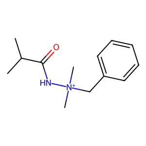 Benzyl-dimethyl-(2-methylpropanoylamino)azanium structure