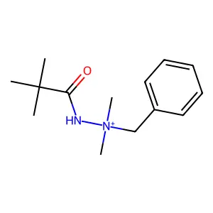 Benzyl-(2,2-dimethylpropanoylamino)-dimethyl-azanium structure