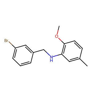 N-[(3-bromophenyl)methyl]-2-methoxy-5-methylaniline structure