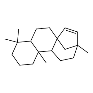 Beyerene structure