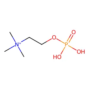 N,N,N-trimethyl-2-(phosphonooxy)ethanaminium structure