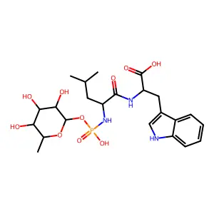 Phophoramidon structure