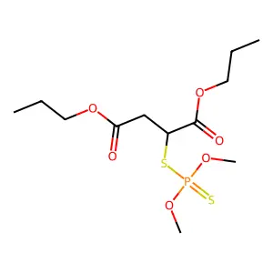 Carb-N-propoxy malathion structure