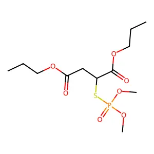 Phosoporothioic acid, O,O-dimethyl S-(1,2-dipropoxycarbonyl)ethyl ester structure