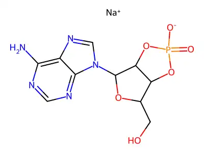 Adenosine 2',3'-cyclic phosphate structure