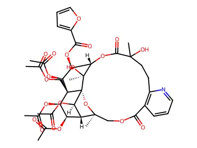 Wilfortrine structure