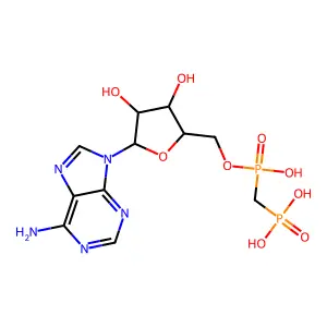 MethADP structure