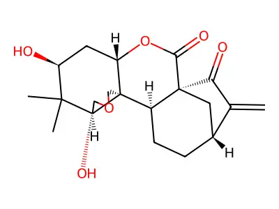 Isodonine structure