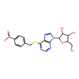 NBMPR structure