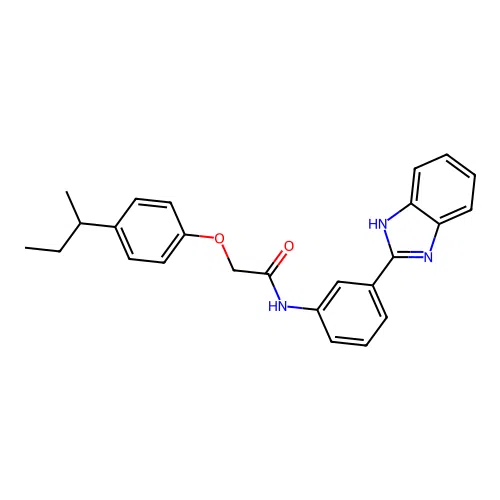 N-[3-(1H-benzimidazol-2-yl)phenyl]-2-[4-(butan-2-yl)phenoxy]acetamide structure