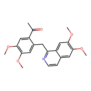 Pseudocoralyne structure