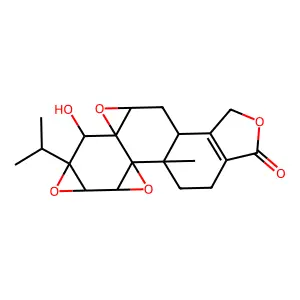 Triptolid structure