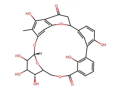 Isoporiolide structure