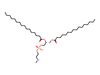 16:0 Monomethyl PE structure