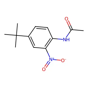 N-[4-(1,1-dimethylethyl)-2-nitrophenyl]acetamide structure