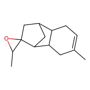 Rhubofix structure
