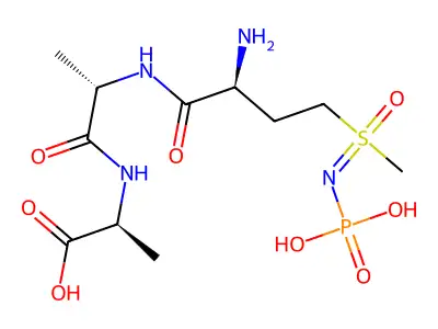 (N(5)-phosphono)methionine-S-sulfoximinyl-alanyl-alanine structure