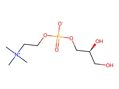 L-alpha-Glycerylphosphorylcholine (GPC) structure