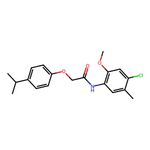N-(4-chloro-2-methoxy-5-methylphenyl)-2-(4-propan-2-ylphenoxy)acetamide structure