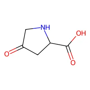 4-oxo-L-proline structure