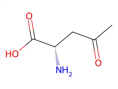 2-Amino-4-oxopentanoic acid structure