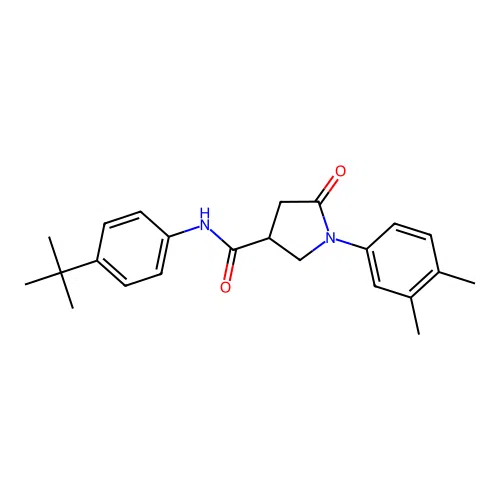 N-(4-tert-butylphenyl)-1-(3,4-dimethylphenyl)-5-oxopyrrolidine-3-carboxamide structure