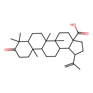 (+)-Betulonic acid structure