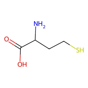 (+-)-Homocysteine structure