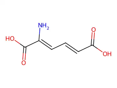 2,4-Hexadienedioicacid, 2-amino- structure