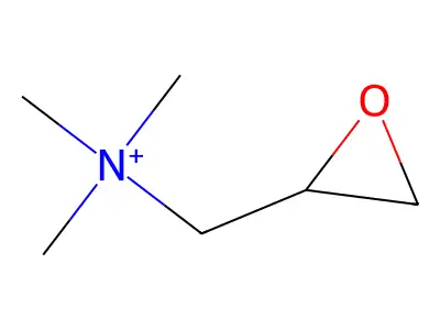 Glycidyl trimethylammonium structure
