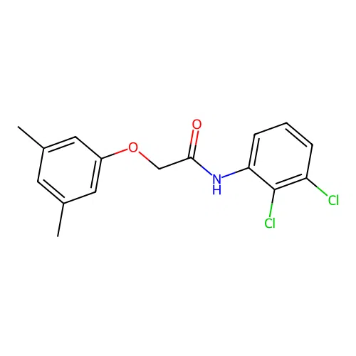 N-(2,3-dichlorophenyl)-2-(3,5-dimethylphenoxy)acetamide structure
