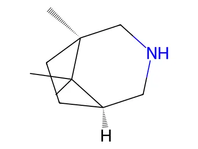 Camphidine structure