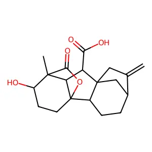 Gibberellin A4 structure