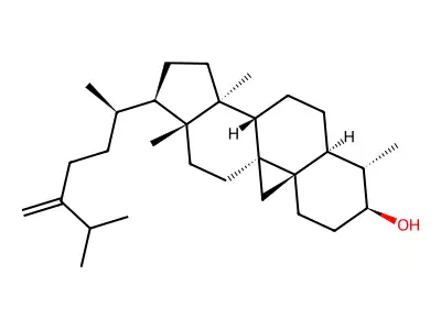Cycloeucalenol structure