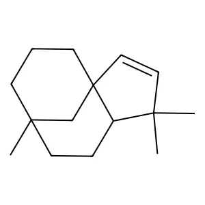 Clovene structure