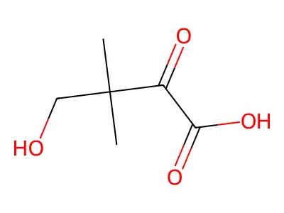 4-Hydroxy-3,3-dimethyl-2-oxobutanoic acid structure