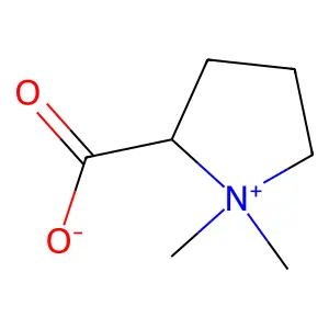 1,1-Dimethylpyrrolidin-1-Ium-2-Carboxylate structure
