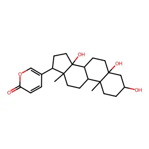 (2R)-2-ethylhexanoic acid;1,1,3,3-tetramethylguanidine structure