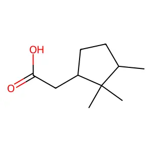 2,2,3-Trimethylcyclopentaneacetic acid structure