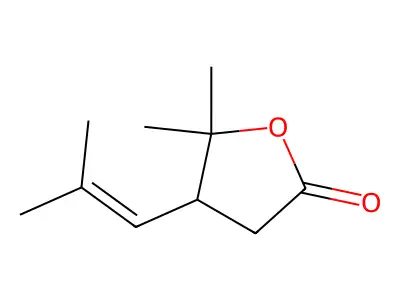 2(3H)-Furanone, dihydro-5,5-dimethyl-4-(2-methyl-1-propenyl)- structure
