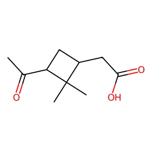 Pinonic acid structure