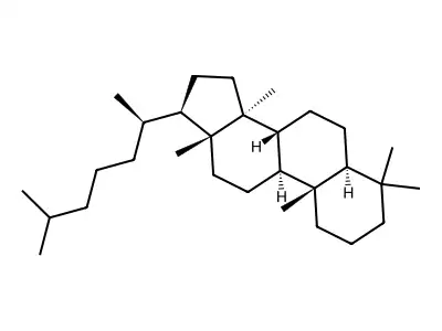Lanostane structure