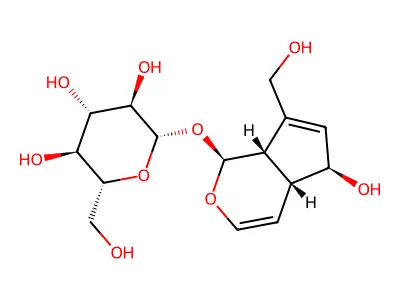 Aucubin structure