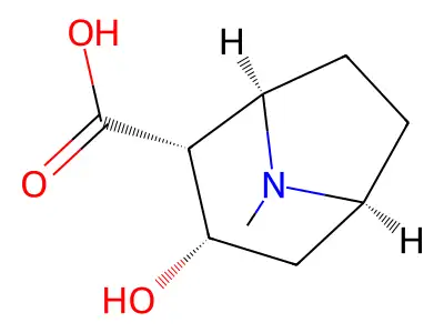 Ecgonine structure