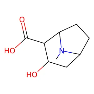Pseudoecgonine structure