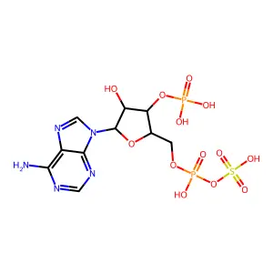 3'-Phosphonato-5'-adenylyl sulfate structure