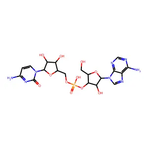 Adenylyl cytidine structure