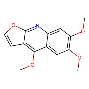Kokusaginine structure