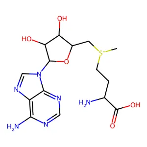 Acylcarnitine structure